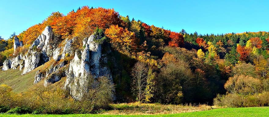 az alapító atyák, Lengyelország, a nemzeti parkban, tájkép, szikla, ősz, a szikla özvegye