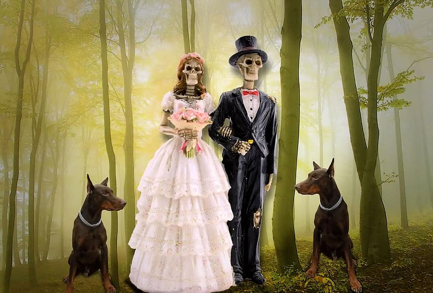 Cô dâu và chú rể, bộ xương, gothic, trang trí, lễ cưới, đen, trắng, rừng, mù sương, rừng cây, bí ẩn