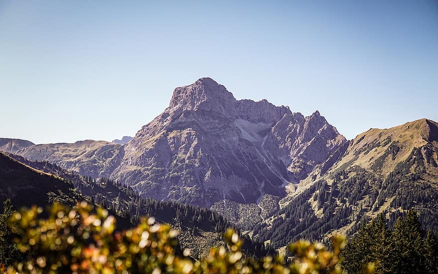 Tirol, Ausztria, hegyek, Alpok, Grosser Widderstein, hegy, hegycsúcs, tájkép, erdő, nyári, hegység