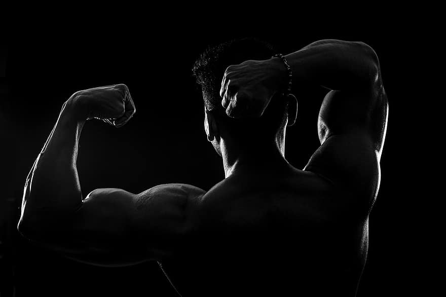 Bodybuilder, Fitness, Silhouette, Backlighting, Male, Gym, Bodybuilding, Strong, Muscle, Exercise, Workout