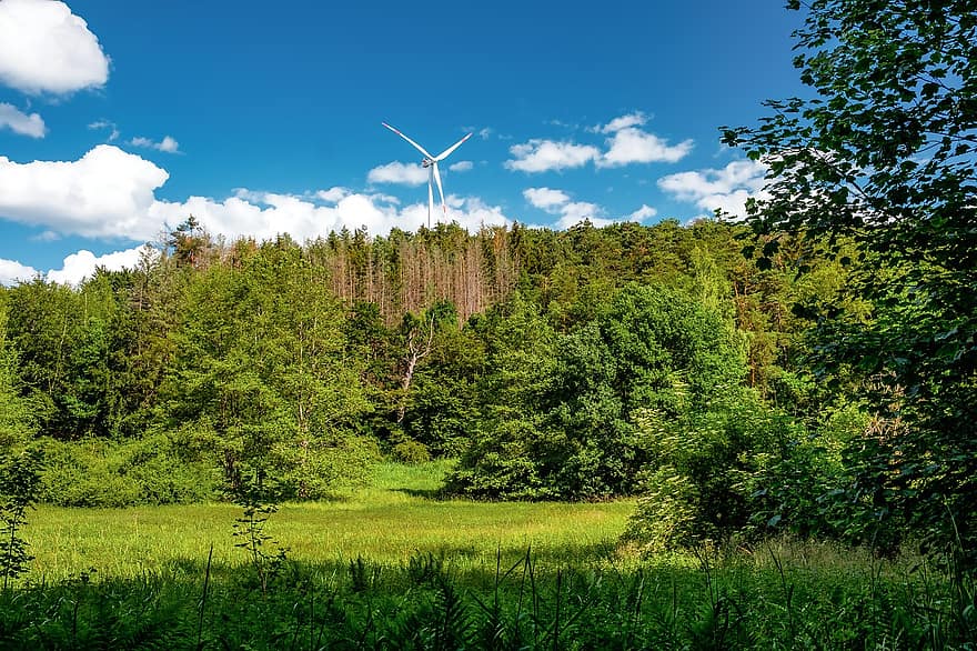 skog, natur, trær, grønn, vår, vindmølle, eng, gress, miljø, drivstoff og kraftproduksjon, vindturbin