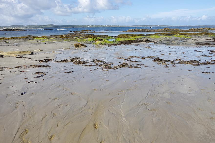 strand, sand, tidvatten, alger, hav, stenar, irland, donegal