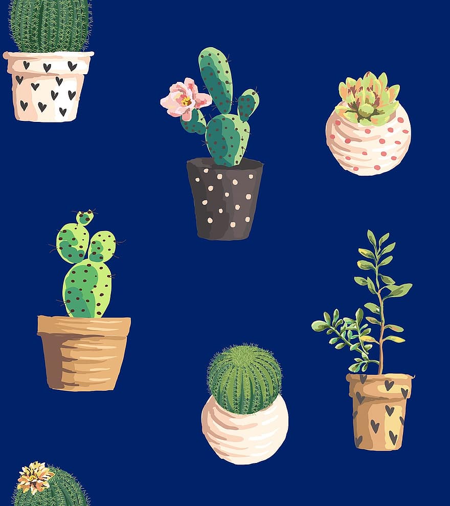 kaktusi, ziemeļaustrumiem