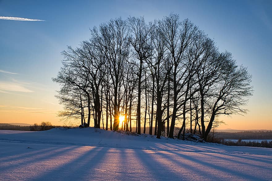 drzewa, zimowy, zachód słońca, pole, śnieg, światło słoneczne, słońce, sylwetka, cień, lód, zimno