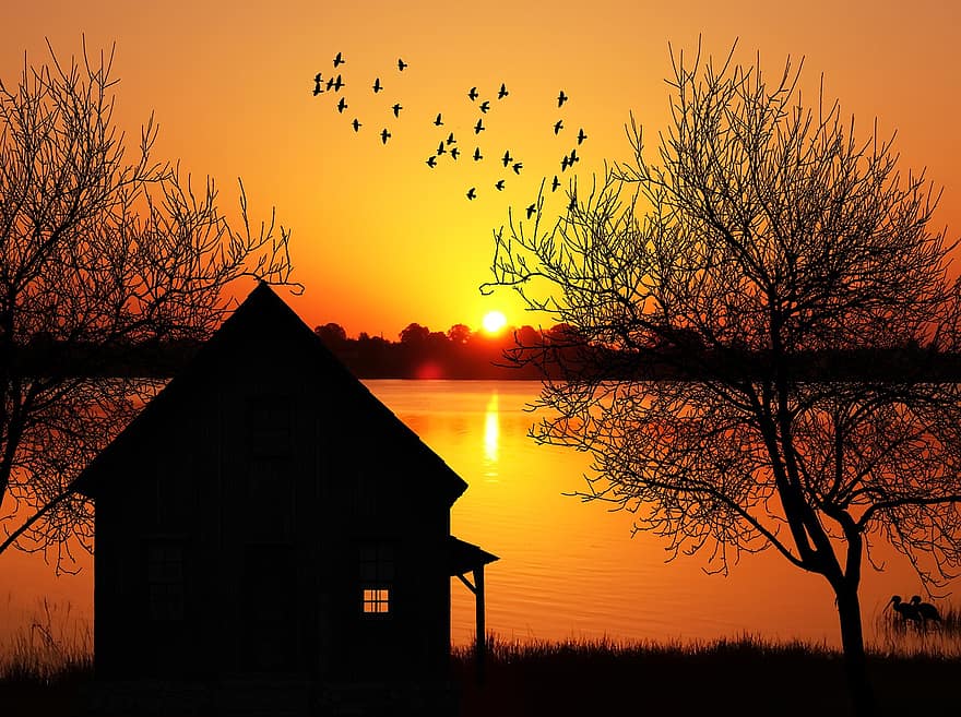 家、キャビン、湖、日没、木、鳥、ヘロン、水、美しい景色