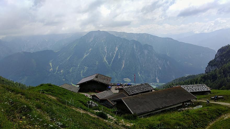 Dalfazas Alm, kalnai, Alpės, pobūdį, Austrijoje, kalnas, žolė, kaimo scenoje, kraštovaizdį, vasara, pievos