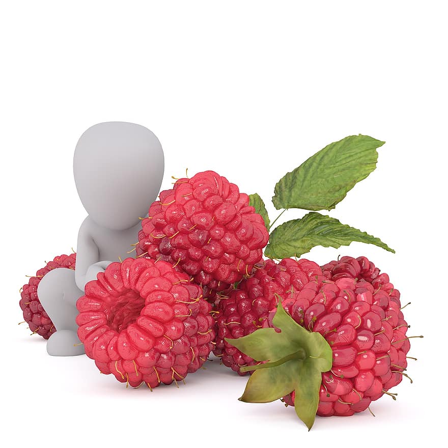 owoc, zdrowy, witamina, wegańskie, malina, jagoda, biały samiec, Model 3D, odosobniony, 3d, Model