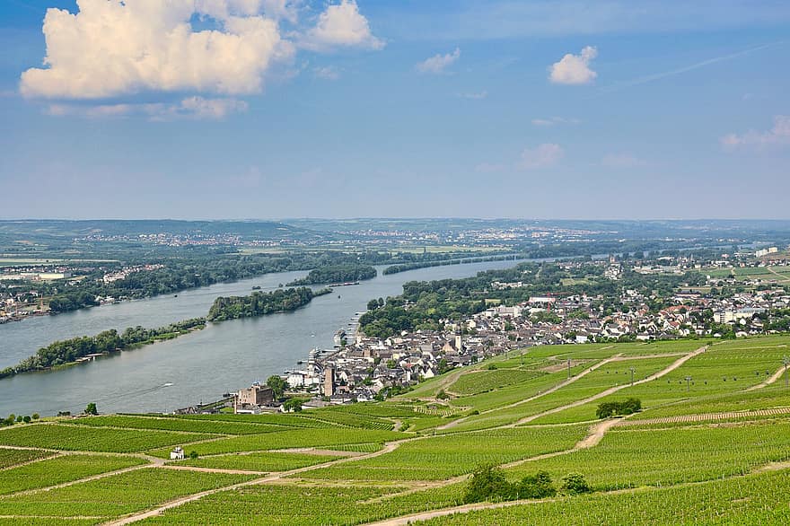 Fluss, Stadt, Dorf, Rüdesheim, Rhein, Felder, Panorama, Rheintal, Landschaft, szenisch, Horizont, Himmel