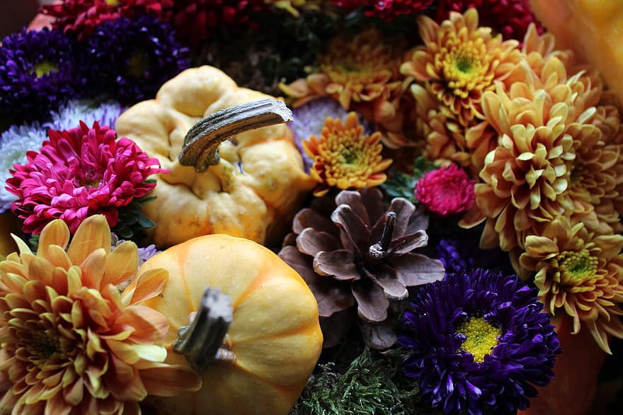 jesień, dynia, kwiaty, chryzantemy, Natura, ozdobny