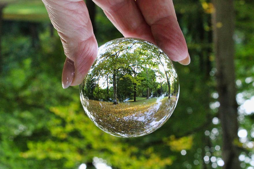 Lensball, Glaskugel, Wald, fallen, Blätter, Bäume, Sphärenfotografie, Waldspaziergang, Natur, Nahansicht, grüne Farbe
