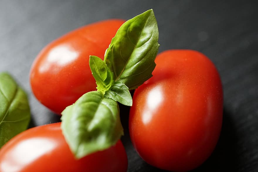 basilikum, tomater, ingredienser, mat, blader, urt, fersk, aromatiske, sunn, organisk, nærbilde