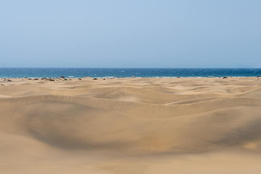 öken-, strand, sand, gran canaria, ö, hav, maspalomas, sommar, resa, sanddyn, landskap