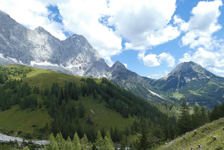 montagne, Alpi, natura, paesaggio, superiore, alberi, foresta, paesaggio di montagna, dachstein, Austria, panorama