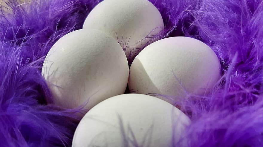 яйця, пір'я, Великдень, Пурпурне пір'я, весна, м'який, впритул