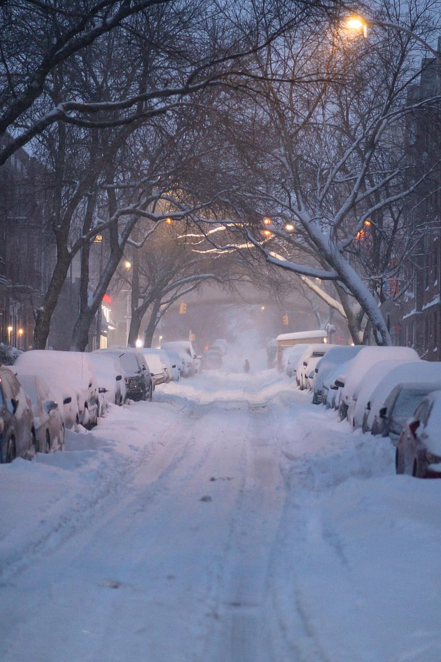 눈, 거리, 도로, 감기, 강설량, 눈보라, 눈이 내리는, 날씨, 자동차, 겨울, 밤