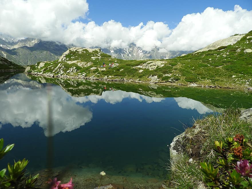 les montagnes, Lac, fleurs, Alpes, Valgaudemar, Pétarel, France, randonnée, trekking, eau, ciel