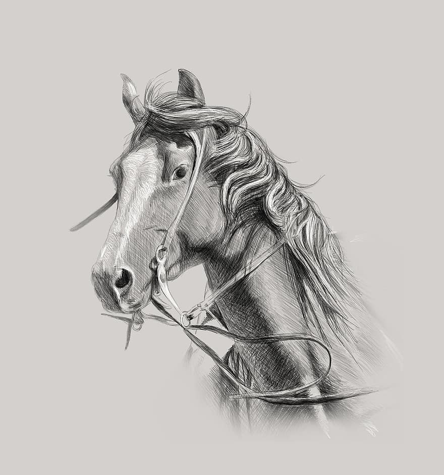 häst, väggdekoration, Anpassat porträtt, Pencil Art, heminredning, Gårdsinredning, bondgårdsdjur, konstarbete, konst, ritning, hästar