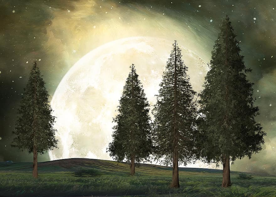 koki, mēness, priedes, evergreens, naktī, iestatījums, koks, mežs, ainavu, ilustrācija, fona
