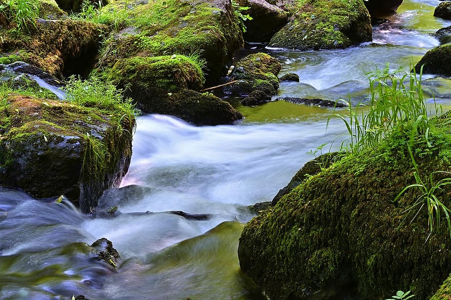 ธรรมชาติ, ห้วย, ป่า, แม่น้ำ, ภูมิประเทศ, น้ำ, หิน, ที่สวยงาม, ที่ไหล, สีเขียว, โดยธรรมชาติ