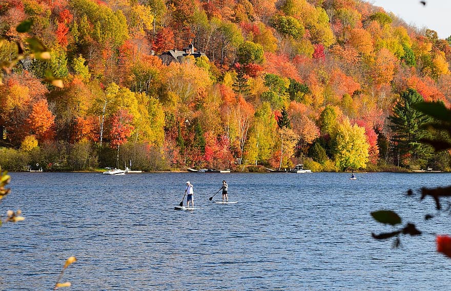 podzim, Příroda, jezero, cestovat, průzkum, rekreace, volný čas