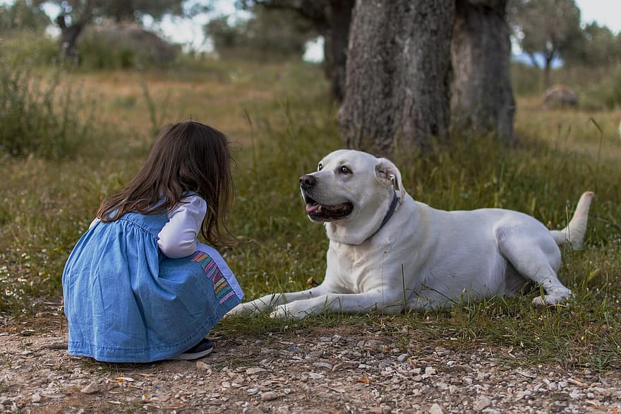 criança, cão, ao ar livre, garotinha, menina, animal, cãozinho, fofa, adorável, infância