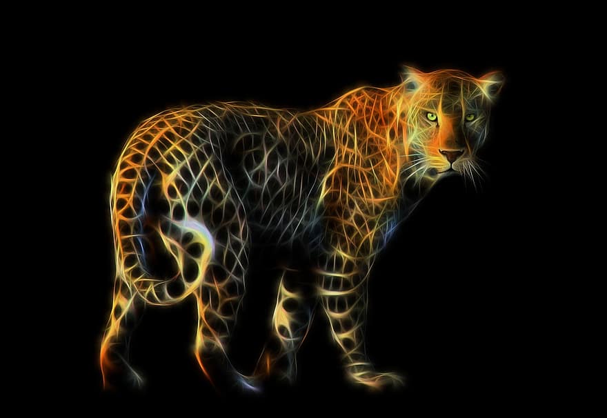 leopard, feline, rovdyr, kødædende, dyr