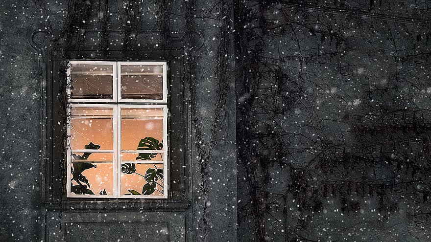 straat, muur, venster, winter, warm van binnen, koud buiten, planten, sneeuwen, achtergrond, behang, knus