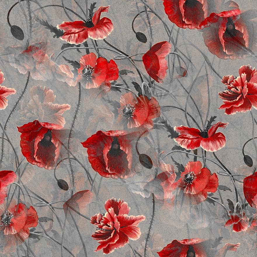 Poppies, Flowers, Plants, Floral Design, Poppy Flowers, Red Poppies, Design, Floral Pattern, Bloom, Blossom, Background