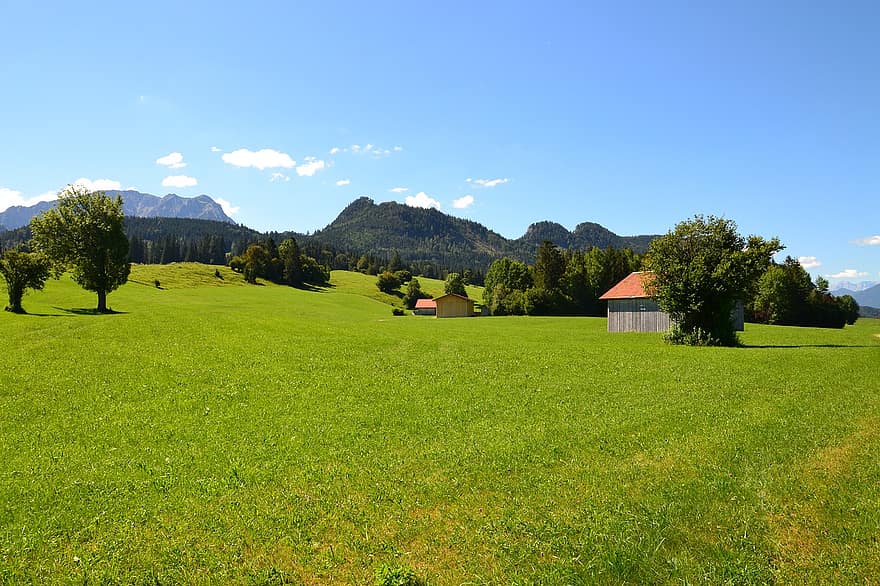 Allgäu, eng, natur, alpine, vandring, himmel, græs, sommer, vandretur