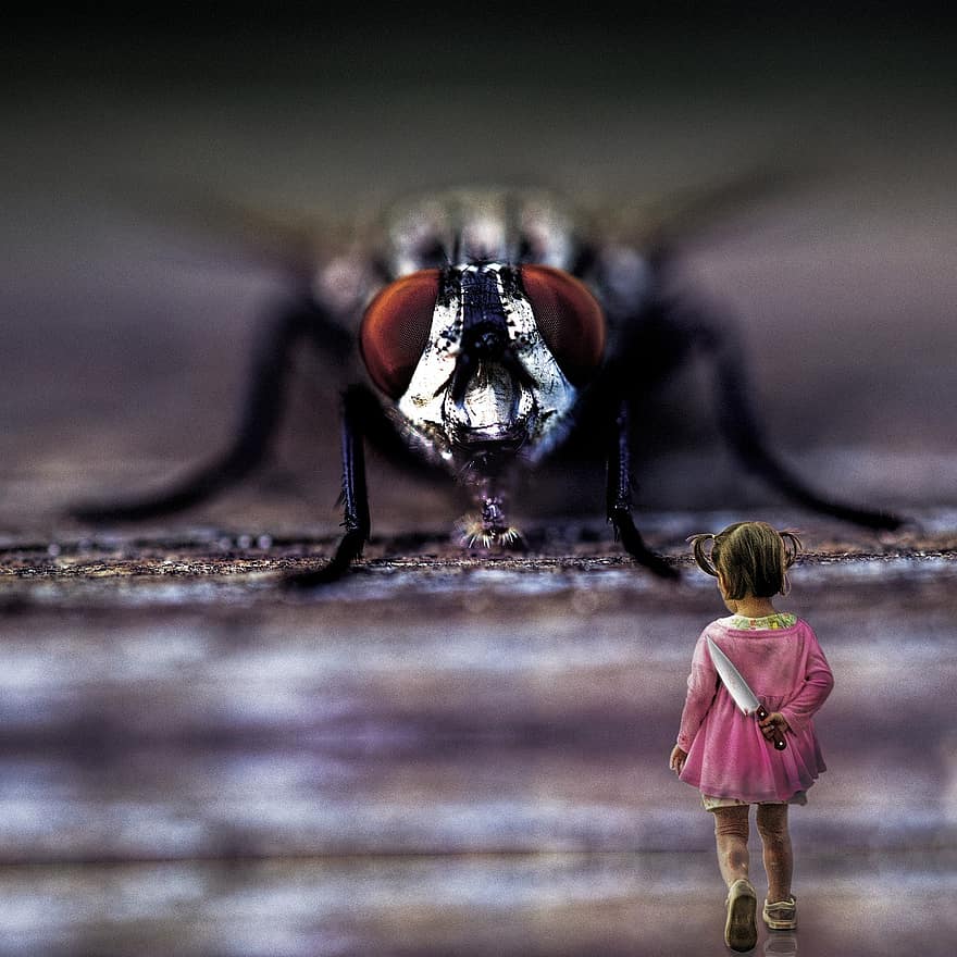 owad, latać, skrzydło, zwierzę, przerażenie, gigantyczna mucha, strach, mucha potwora, dziewczynka, nóż, walka