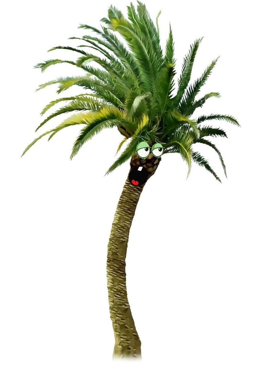 albero, natura, palma, Palma divertente, verde, piangere, Urlare, paura, terrore, angoscia, panico