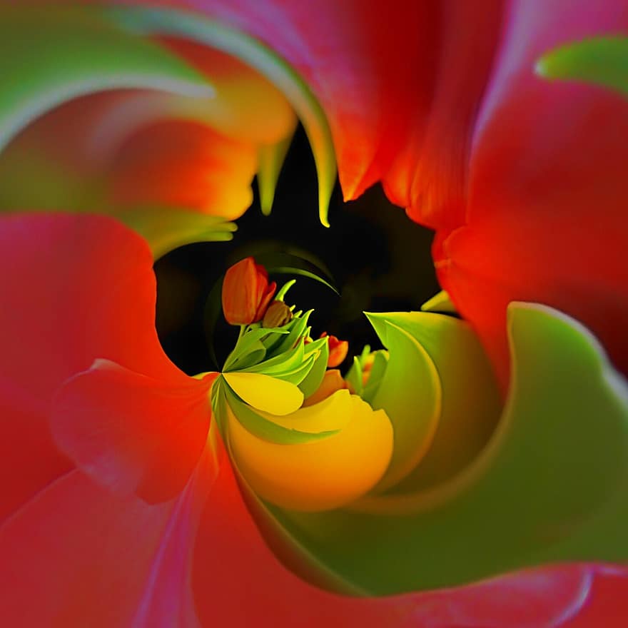tulipaner, bukett, skarphet spill, farge, blomstre, blomst, fantasi, vår
