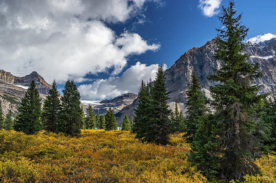 træer, bjerge, eng, nåletræer, Rocky Mountains, bjergkæde, landskab, humør, natur, skyer, Nationalpark