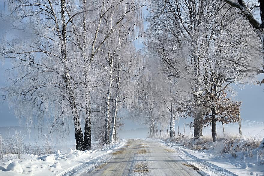 冬、方法、雪、霜、フローズン、コールド、シーズン、木、道路、風景、自然