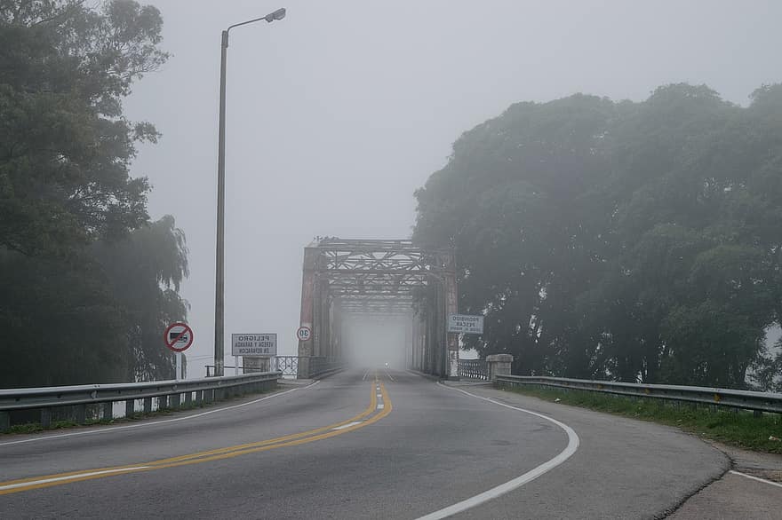 мост, път, мъгла, пътуване, трафик, транспорт, скорост, асфалт, магистрала с няколко ленти, кола, дърво
