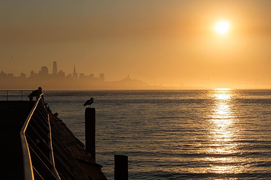San Francisco, horizon, stad, stadsgezicht, Californië, zonsopkomst
