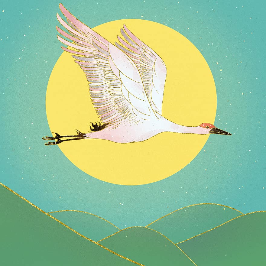 Crane, Flying, Moon, Sky, Night, Bird, Wings, Animal, Wildlife, Feathers, Plumage