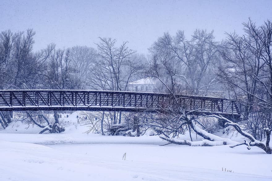 ponte, la neve, alberi, foresta, inverno, ghiaccio, brina, congelato, freddo