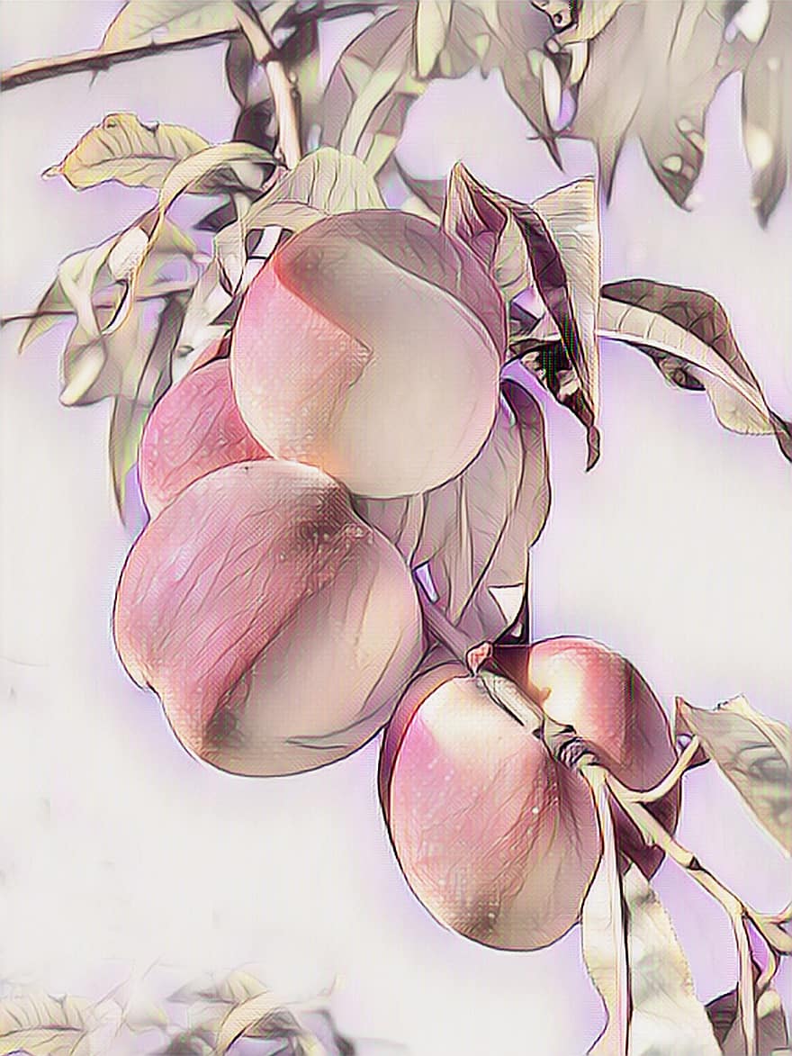 персик, цифровая живопись, пастельный, фрукты, розовый
