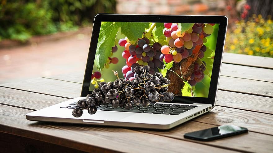 uvas, fruta, computador, portátil