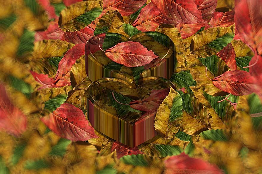 Autumn, Reason Of Fall, Leaves, Heart-shaped Box, Heart, Background, Fall Color, The Autumn