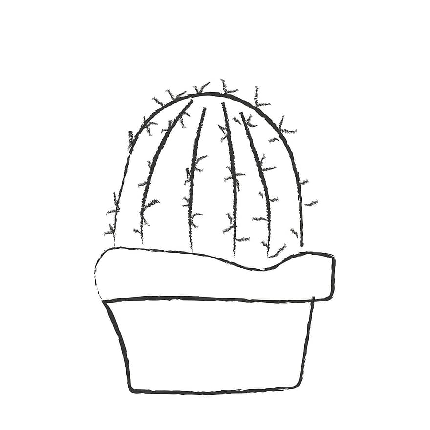 cactus, fabriek, bloem, kamerplant, tropisch, tekening, structuur, bloempot, illustratie, blad, plantkunde