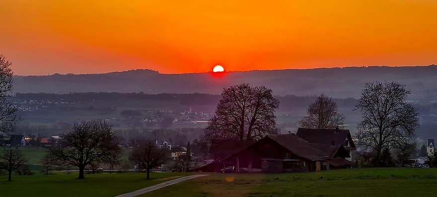 puesta de sol, naranja, panorama, contraste, aargau, primavera, rural, bosque, oscuridad, escena rural, árbol