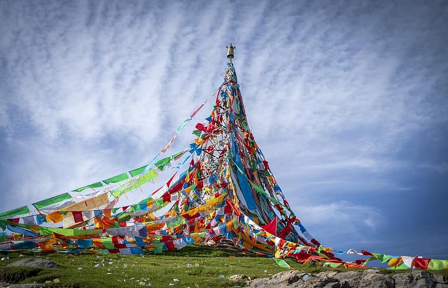 チベット人、祈りの旗、ホオジロ