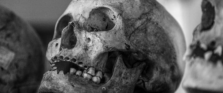 두개골, 늙은, 인간의 두개골, 검정색과 흰색, 포도 수확, 고대 미술, 검은, 인간의, 악, 더러운, 소름 끼치는