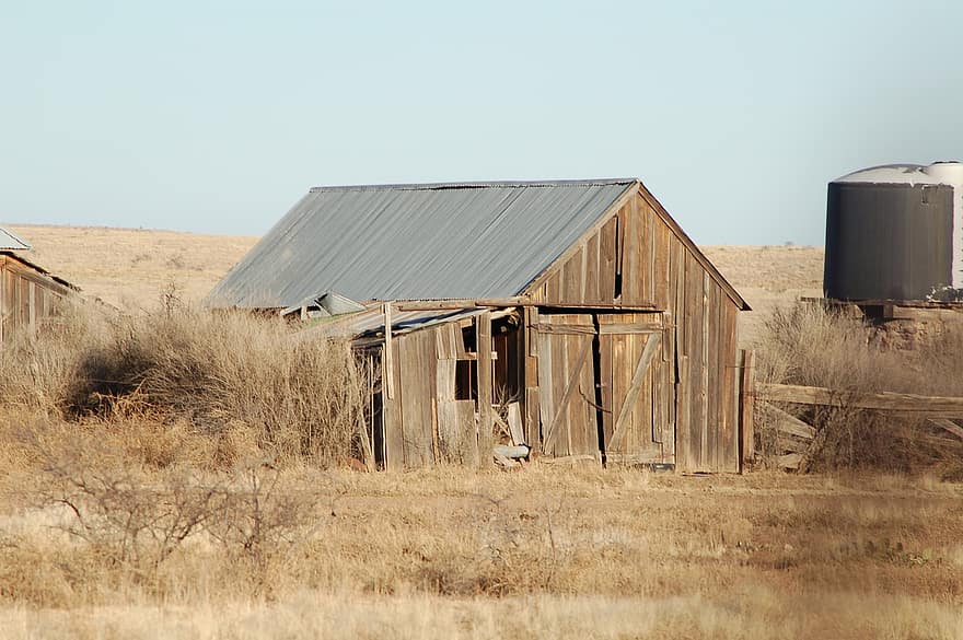 cabine, cabana, ruínas, abandonado