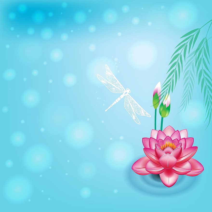 Lótuszvirág háttér, bokeh, rózsaszín virág, kék szitakötő, dekoratív, lótusz, zen, elegáns, elmélkedés, csillám, csillogó