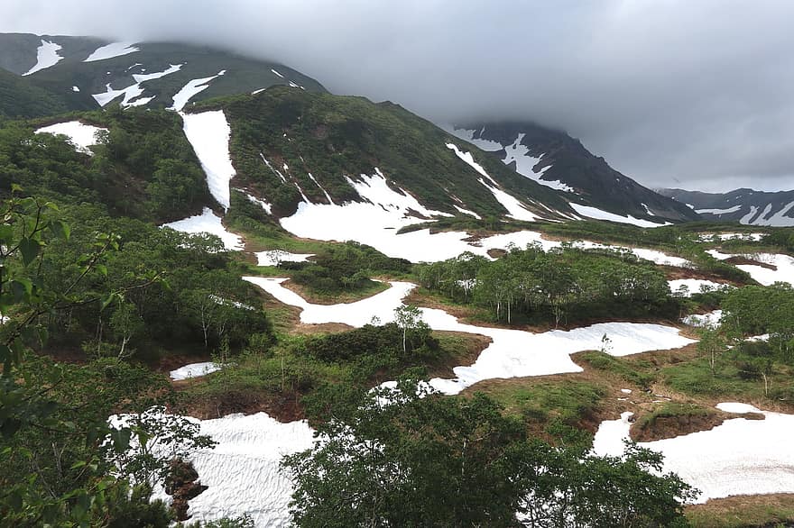 Summer, Mountains, Forest, Snow, The Snow, Greens