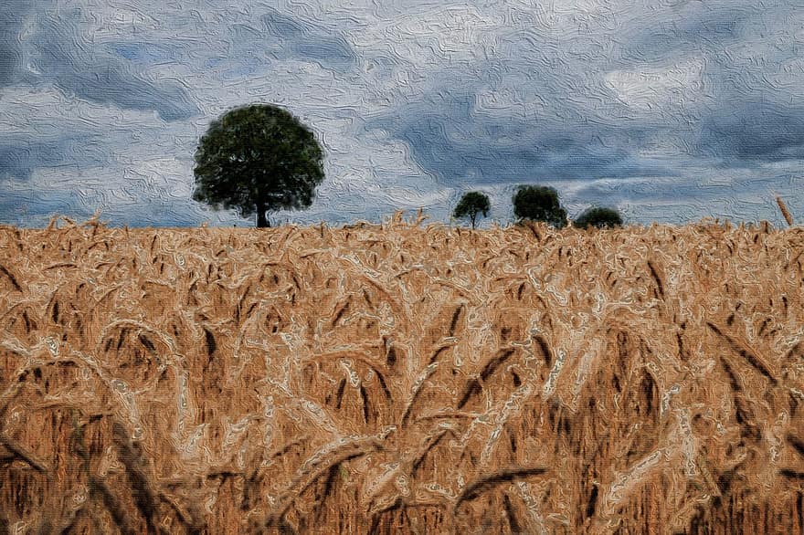 Маслена живопис върху платно, пшеница, поле, сини небеса, дърво, околност, трева, природа, пружина, селски, път