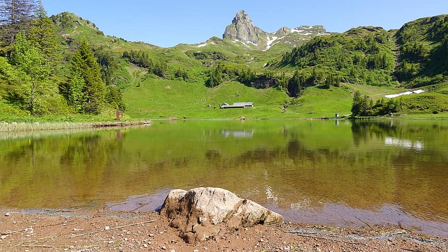 Lac, pâturage, agriculture alpine, réflexion, Flumserberg, Montagne, été, eau, paysage, couleur verte, bleu